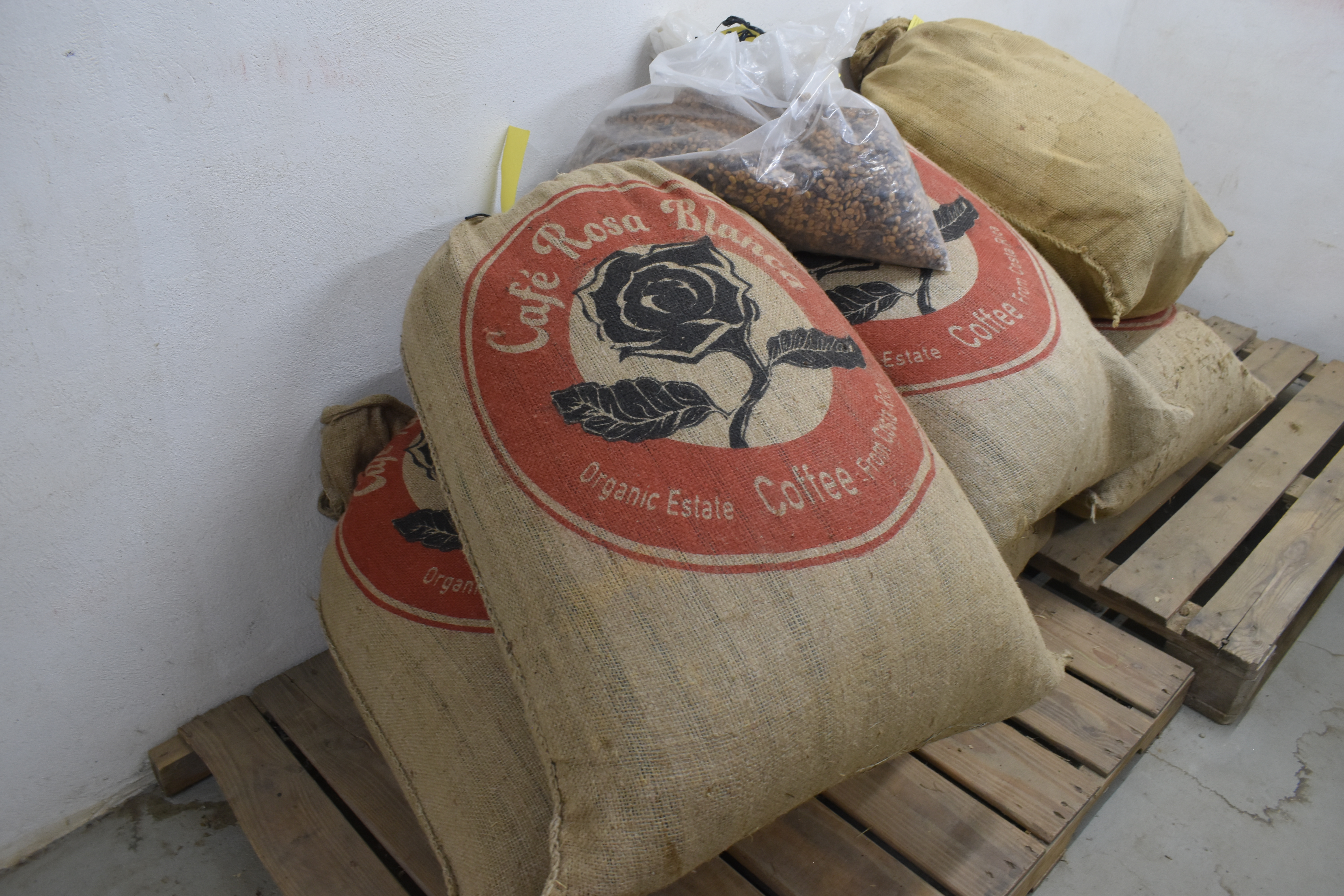 Several burlap sacks filled with green coffee beans stacked on wooden pallets inside a processing facility.